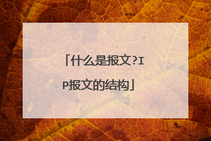 什么是报文?IP报文的结构