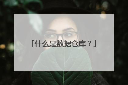 什么是数据仓库？
