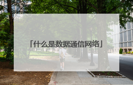 什么是数据通信网络