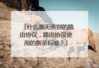 什么是无类别的路由协议，路由协议使用的衡量标准？