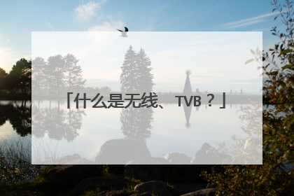 什么是无线、TVB?