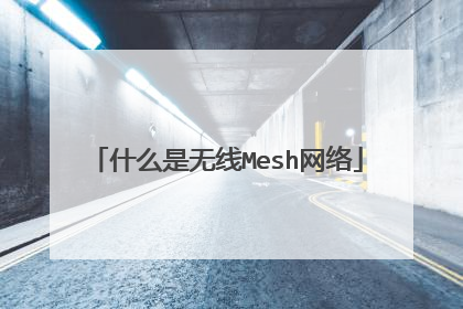 什么是无线Mesh网络