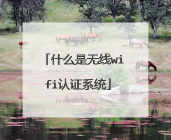 什么是无线wifi认证系统