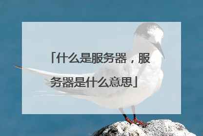 什么是服务器，服务器是什么意思