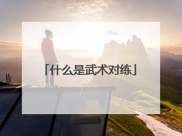 什么是武术对练