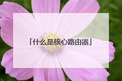 什么是核心路由器