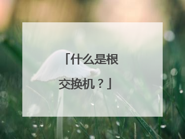 什么是根交换机?