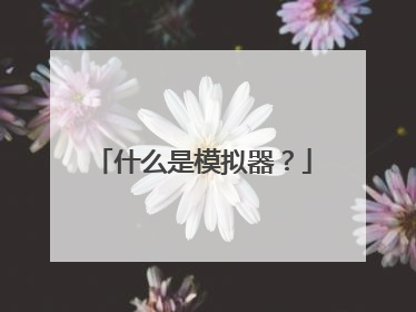 什么是模拟器?