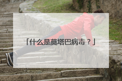 什么是莫塔巴病毒?