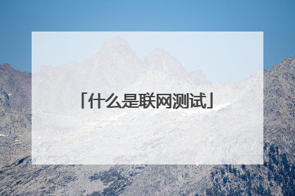 什么是联网测试