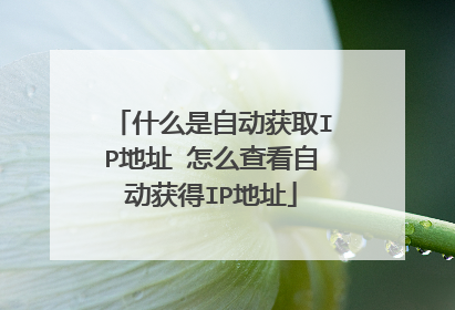 什么是自动获取IP地址 怎么查看自动获得IP地址