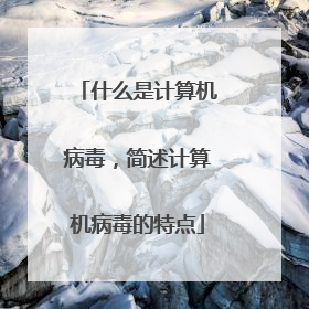 什么是计算机病毒，简述计算机病毒的特点