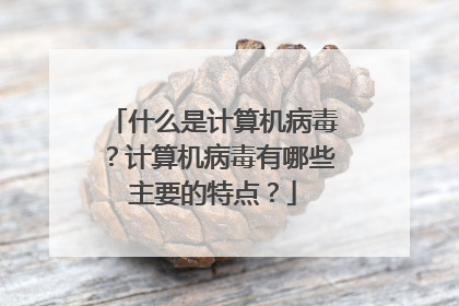 什么是计算机病毒?计算机病毒有哪些主要的特点?