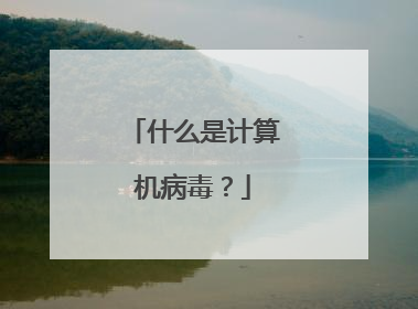 什么是计算机病毒?