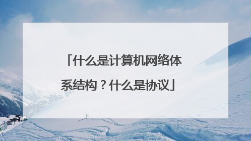 什么是计算机网络体系结构？什么是协议
