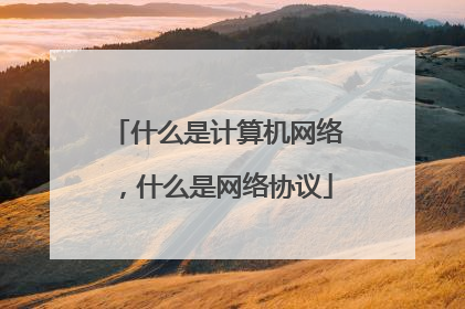 什么是计算机网络,什么是网络协议