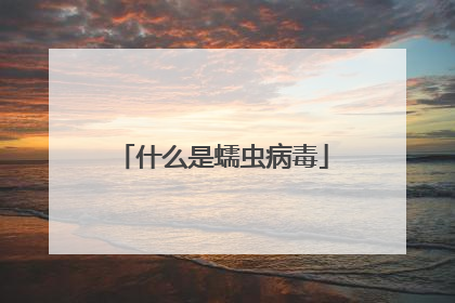 什么是蠕虫病毒
