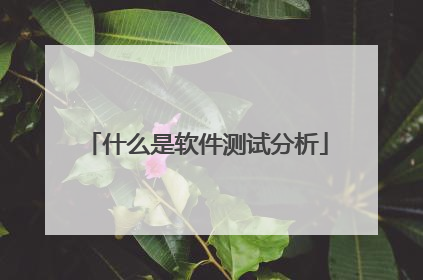 什么是软件测试分析