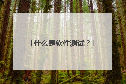 什么是软件测试？