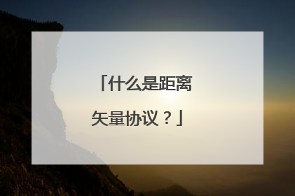 什么是距离矢量协议？