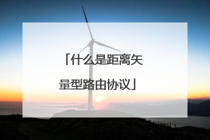 什么是距离矢量型路由协议
