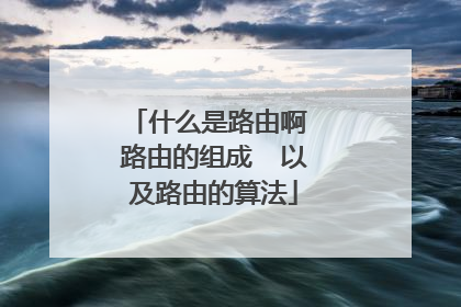 什么是路由啊 路由的组成  以及路由的算法