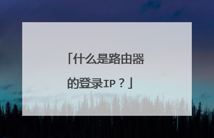 什么是路由器的登录IP?
