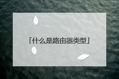 什么是路由器类型