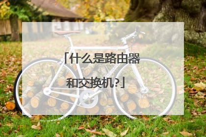 什么是路由器和交换机?
