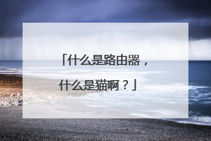 什么是路由器，什么是猫啊？
