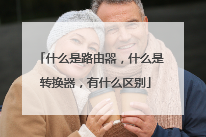 什么是路由器，什么是转换器，有什么区别