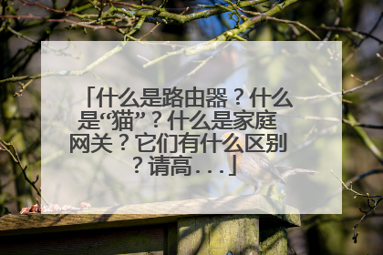 什么是路由器?什么是“猫”?什么是家庭网关?它们有什么区别?请高...