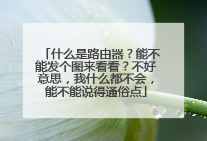 什么是路由器？能不能发个图来看看？不好意思，我什么都不会，能不能说得通俗点