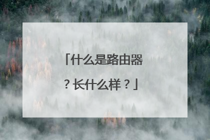 什么是路由器？长什么样？