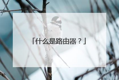什么是路由器？