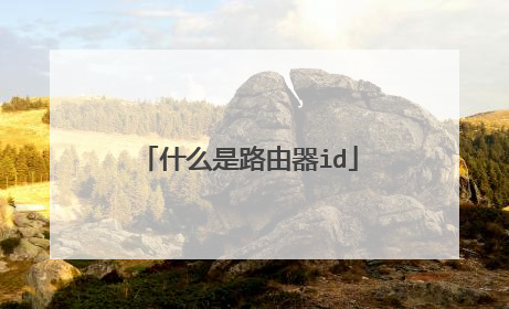 什么是路由器id