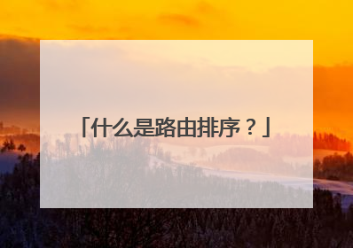 什么是路由排序？