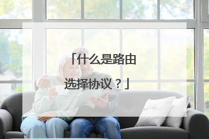 什么是路由选择协议？