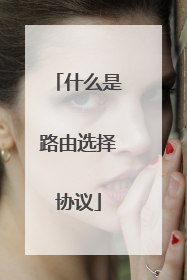 什么是路由选择协议
