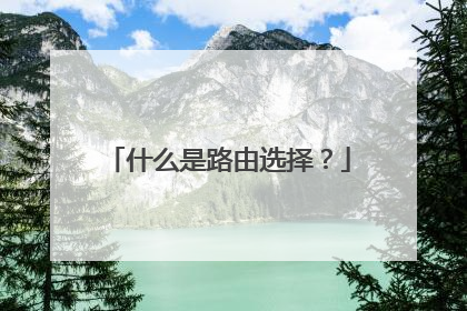 什么是路由选择?