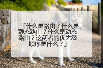 什么是路由?什么是静态路由?什么是动态路由?这两者的优先级顺序是什么?