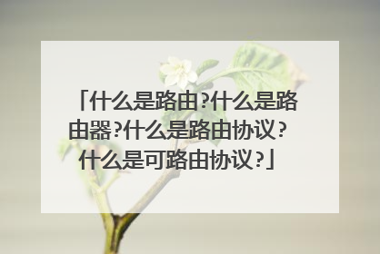 什么是路由?什么是路由器?什么是路由协议?什么是可路由协议?