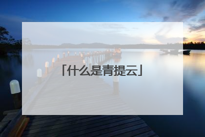 什么是青提云