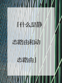 什么是静态路由和动态路由