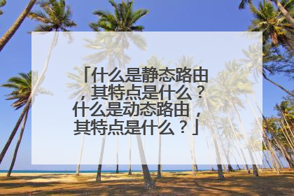 什么是静态路由，其特点是什么？什么是动态路由，其特点是什么？