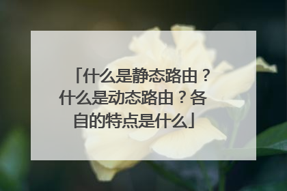 什么是静态路由？什么是动态路由？各自的特点是什么