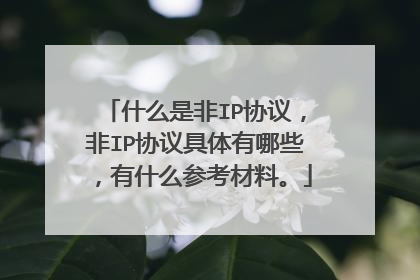 什么是非IP协议,非IP协议具体有哪些,有什么参考材料。