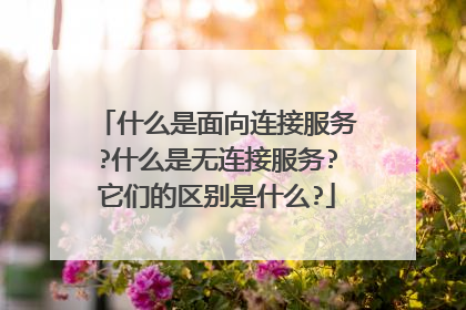 什么是面向连接服务?什么是无连接服务?它们的区别是什么?