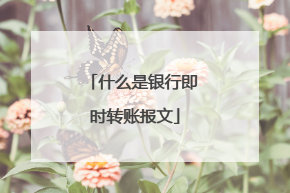 什么是银行即时转账报文