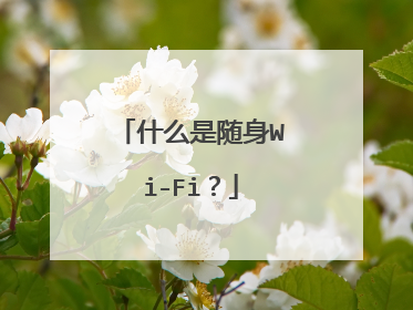 什么是随身Wi-Fi？